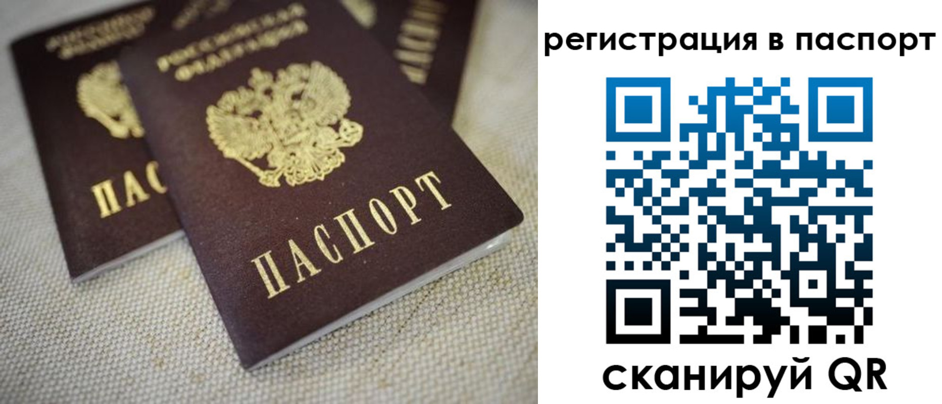 прописка гарантия в Ставропольском крае
